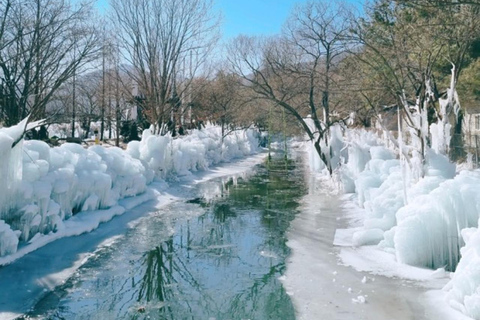 Busan: Winter Healing Park & (Gyeongju/Daegu) One Day Tour Healing Park + DAEGU Tour - Meet at Haeundae Station