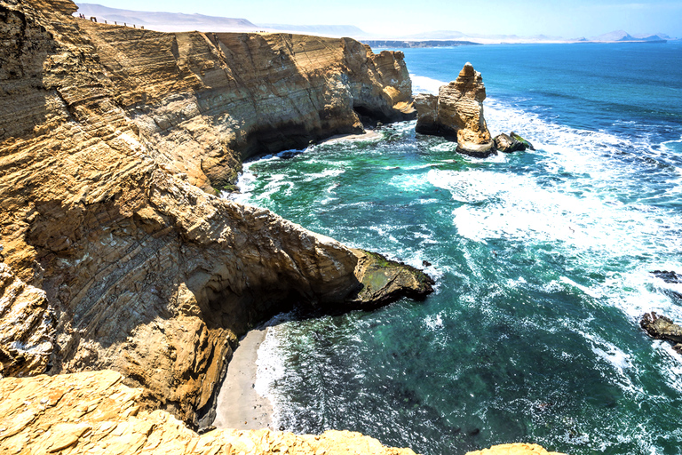 FD: Ica, Paracas - Ballestas Islands - Huacachina Excursion