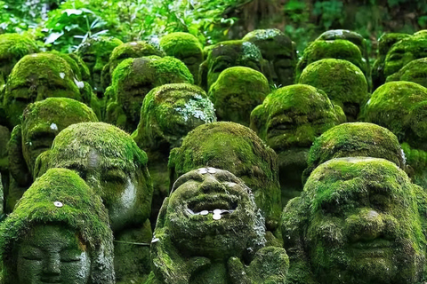 From Osaka/Kyoto/Nara: Customizable Private Tour & Car/Guide