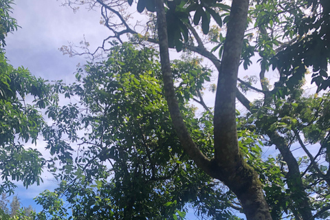 Randonnée à Arusha : chutes d&#039;eau de Napuru