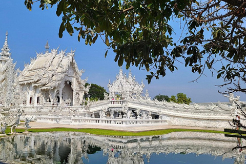 Från Chiang Mai : Vita och blå tempel och Lalita Cafe