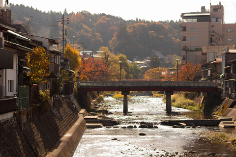 Nagoya: Shirakawa-go & Takayama Guided Day Trip