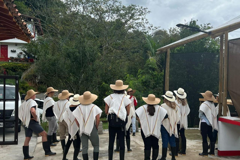 Medellín : Tournée des cafés dans les montagnes