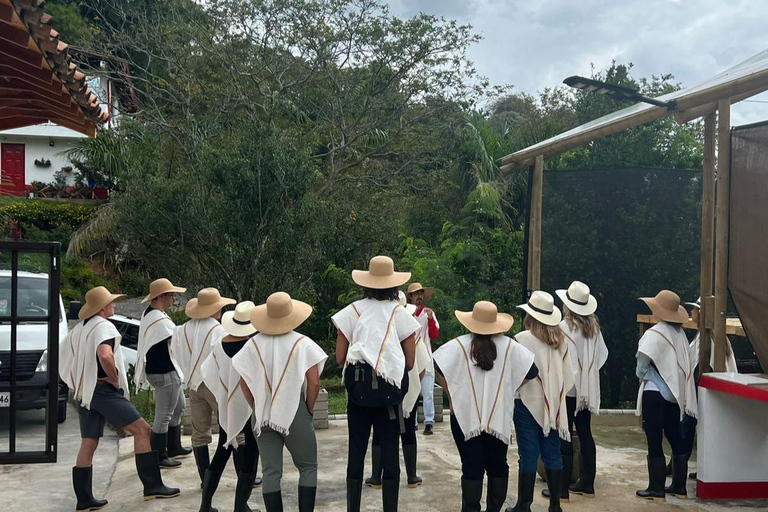 Medellín : Tournée des cafés dans les montagnes