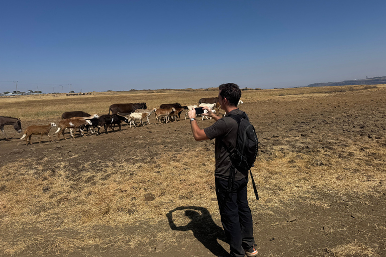 Ethiopia: 6-Day Omo Valley and Dorze Cultural Tour