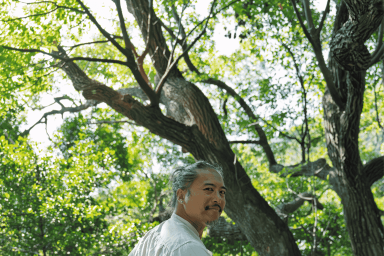 Hong Kong Eco-tourism: Guided Forest Bathing Experience Private Forest Therapy Session