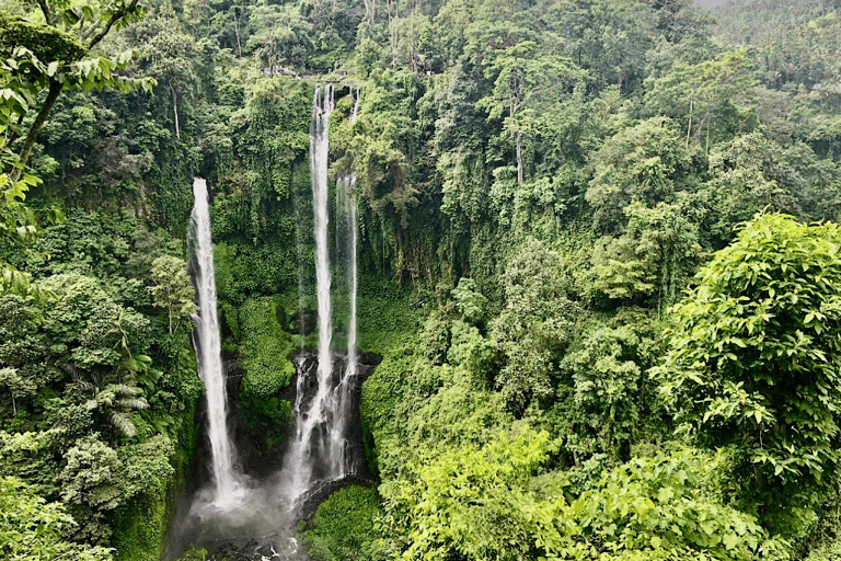 Bali: Sekumpul & Fiji Fall, Handara Gate & Wanagiri Hill Tour Not Including Entrance Ticket with Pickup Central Bali