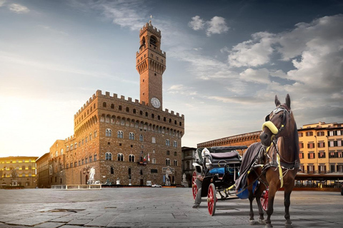 From Rome private Tour to Florence and Pisa