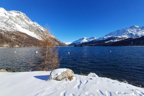 Z Mediolanu: pociąg Bernina, Alpy Szwajcarskie i jednodniowa wycieczka do St. Moritz