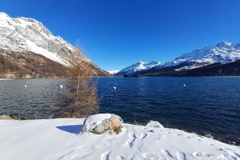 Z Mediolanu: pociąg Bernina, Alpy Szwajcarskie i jednodniowa wycieczka do St. Moritz