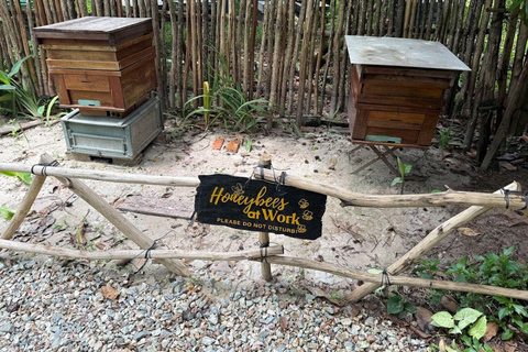 From Phu Quoc: Natural & Starfish Half-Day Private Tour