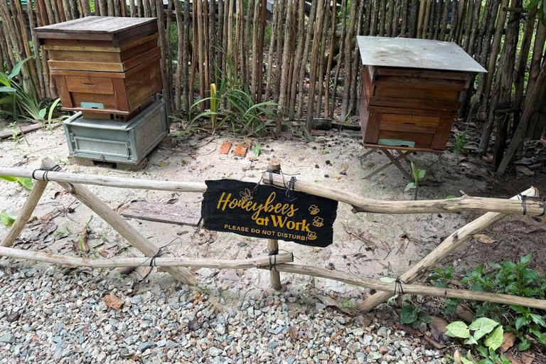 From Phu Quoc: Natural & Starfish Half-Day Private Tour