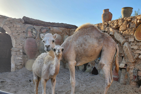 Authentic Djerba: Underground Oil Mill, Palm Grove, Pottery & Mosque