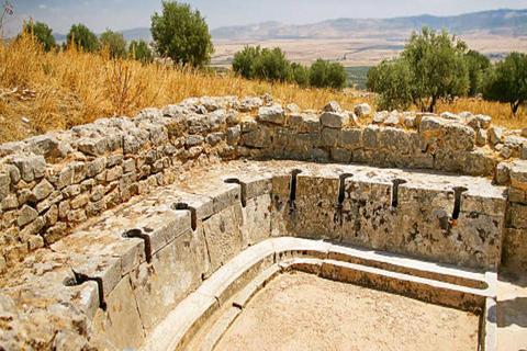 Visite privée de Dougga et Testour