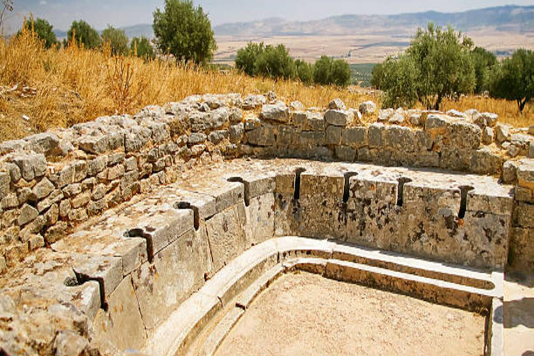 Private tour of Dougga and Testour