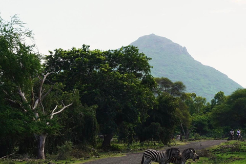 South Discovery :Wild Life Safari at Casela Park with Lunch