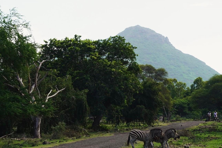 South Discovery :Wild Life Safari at Casela Park with Lunch