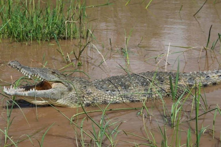 From Addis Ababa: 4-Day Nech Sar N P & Lake Chamo Safari