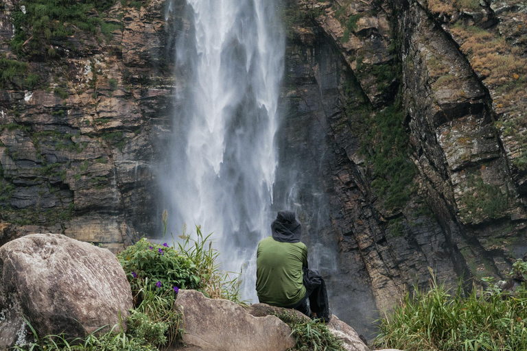 From São Paulo: 5-Day Serra da Canastra Wildlife Safari