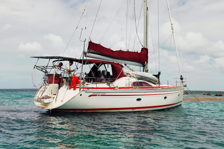 Saona Island: Private Yacht Tour with Lunch & Pickup