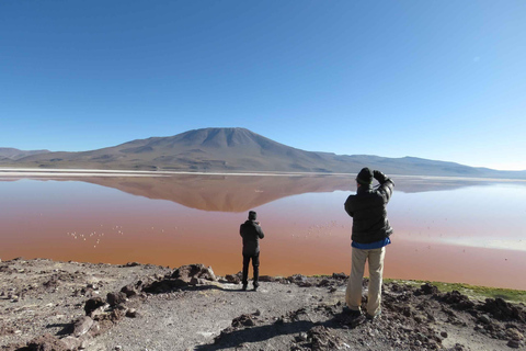 1D Excursión Privada a Laguna Colorada desde Uyuni