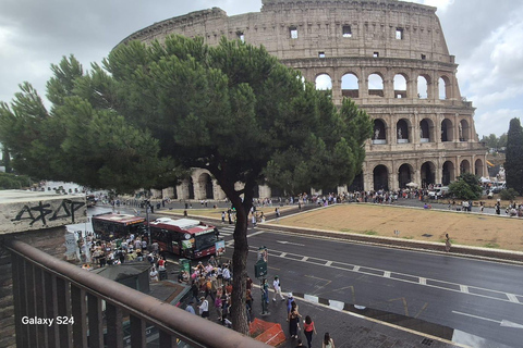 Small Group Guided Tour Colosseum Roman Forum, Palatine Hill Standard Tickets