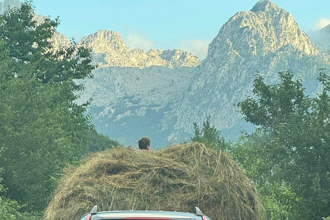 Shkoder: Albanian Alps and Theth Village Day Tour