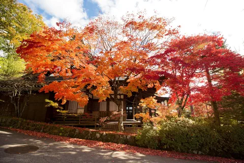 Excursão a pé de meio dia: tesouros escondidos e passeio pelos templos de Takayama