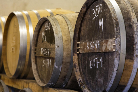 Bordeaux: Cognac Shore Excursion with Distillery Tour