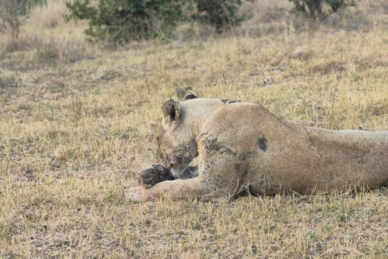 From Maputo: 2-Day Kruger National Park Safari
