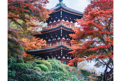 Nara: Guided Walking Tour with Tea Ceremony & Calligraphy