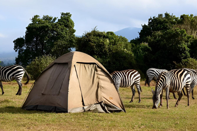 Tanzania: 7-dniowa luksusowa wycieczka safari z lotem balonem na ogrzane powietrze