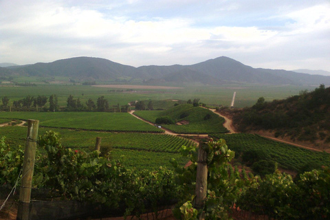 WINE TOUR - CASABLANCA VALLEY