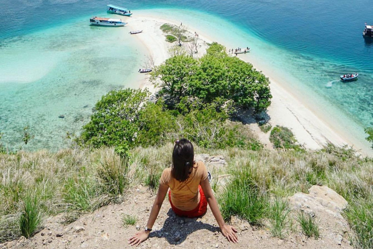 Komodo Island Day Trip with Snorkeling Private Or Sharing Sharing Komodo Island Day Trip with Snorkeling