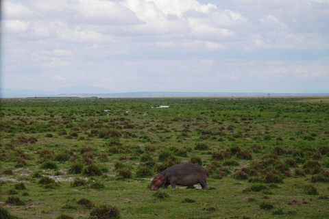 Tour di un giorno del Parco Nazionale di Amboseli e visita al villaggio Maasai