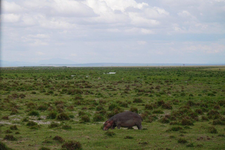 Tour di un giorno del Parco Nazionale di Amboseli e visita al villaggio Maasai