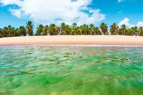 Transfer to Francês, Barra de São Miguel and Gunga in 1 day