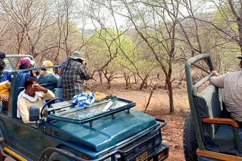 Ranthambore National Park 3-daagse met safariritten