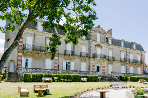 Guided tour from vine to glass