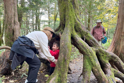 Kurobe Tateyama & Kamikochi autumn 2-day tour from Nagoya