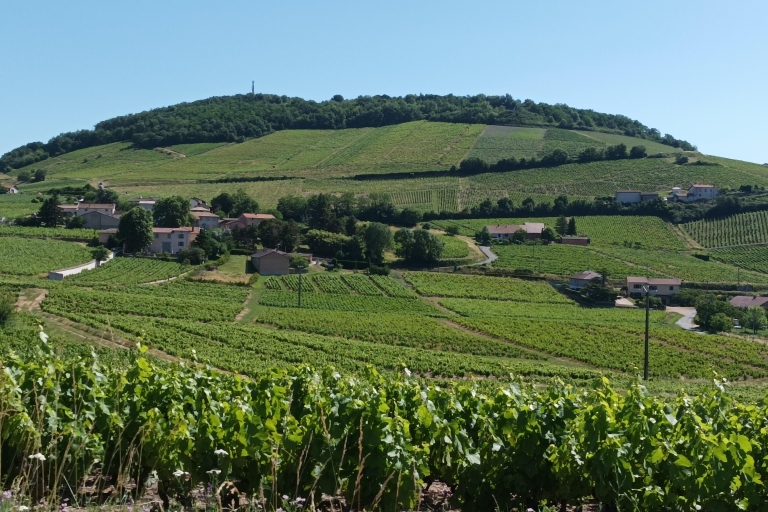 Depuis Lyon : excursion sur les vins du BeaujolaisExcursion sur les vins d'une demi-journée