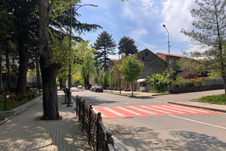 Från Tbilisi: Rundvandring i Mtskheta längs floden Aragvi