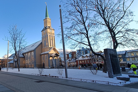 Tromsø City Walking Tour with Sámi History & Mythology