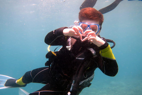 Mauricio: experiencia de buceo en la costa norte