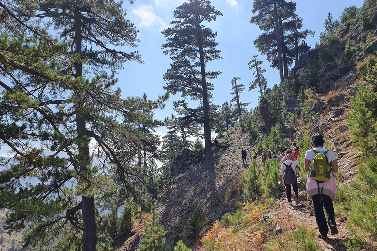 Hiking Tour At The Taurus Mountains of Alanya Meeting Point At The Bus Staion of Alanya (Otogar)