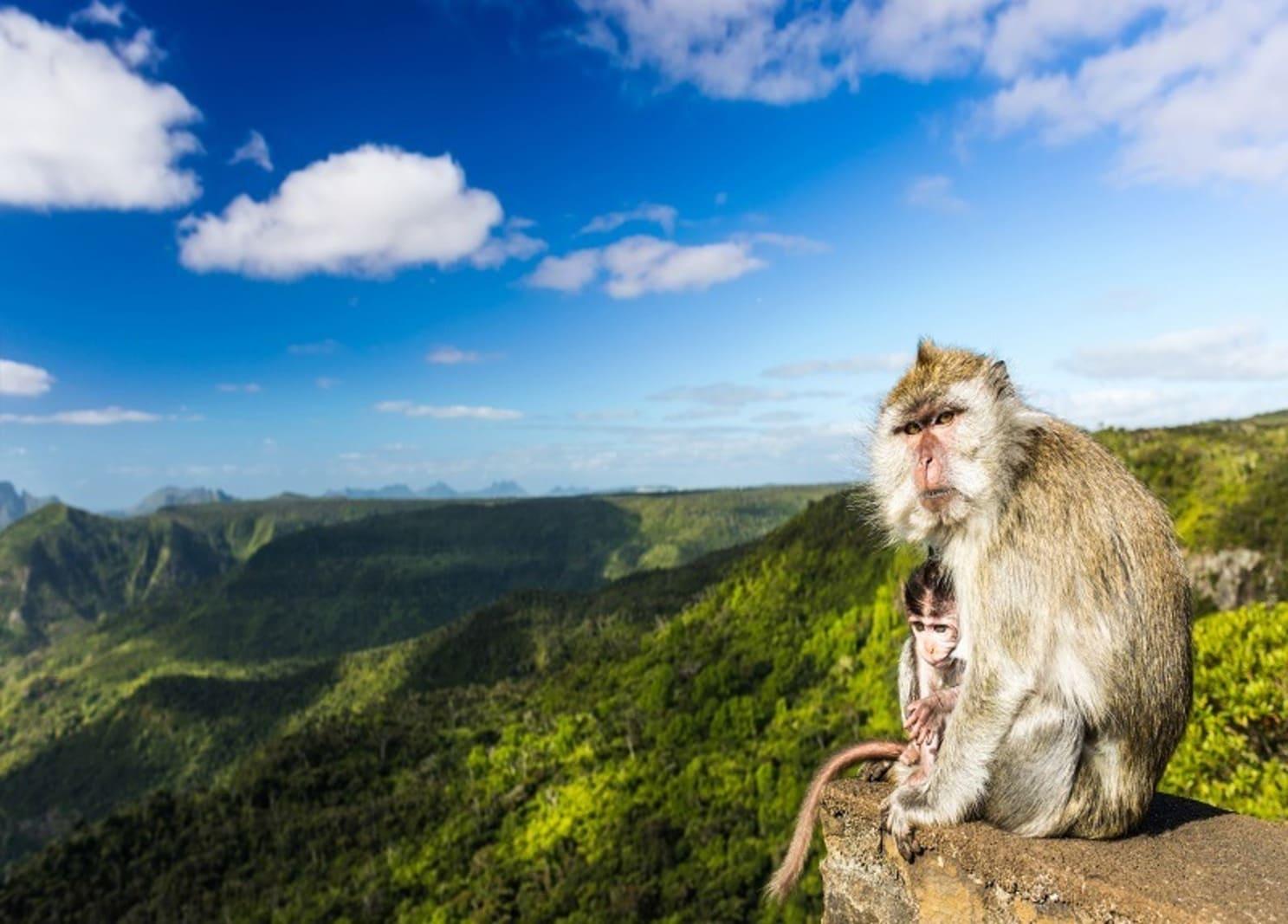 Highlights im Süden von Mauritius: Vallée & Chamarel Dunes