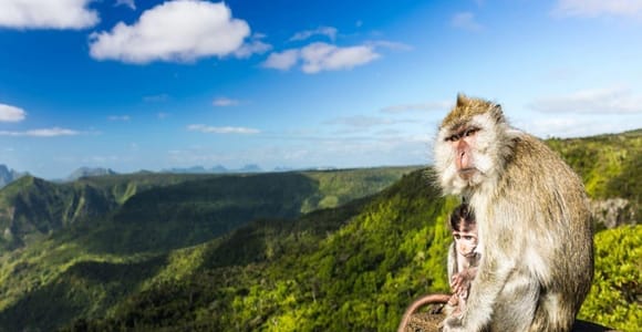 Mauritius South Highlights Tour: Vallée & Chamarel Dunes