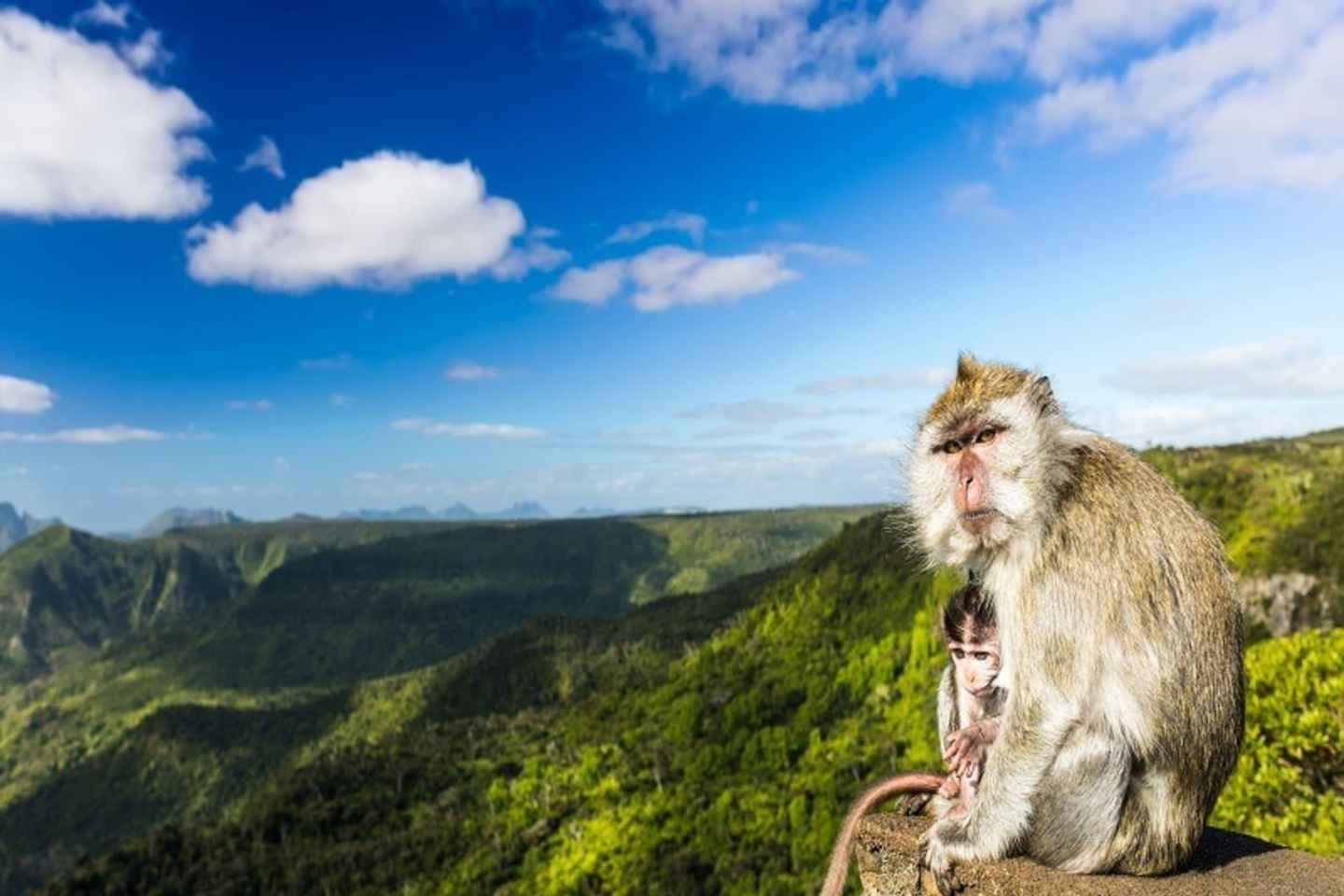Mauritius South Highlights Tour: Valle & Chamarel Dunes - Mauritius South Highlights Tour: Vallée & Chamarel Dunes