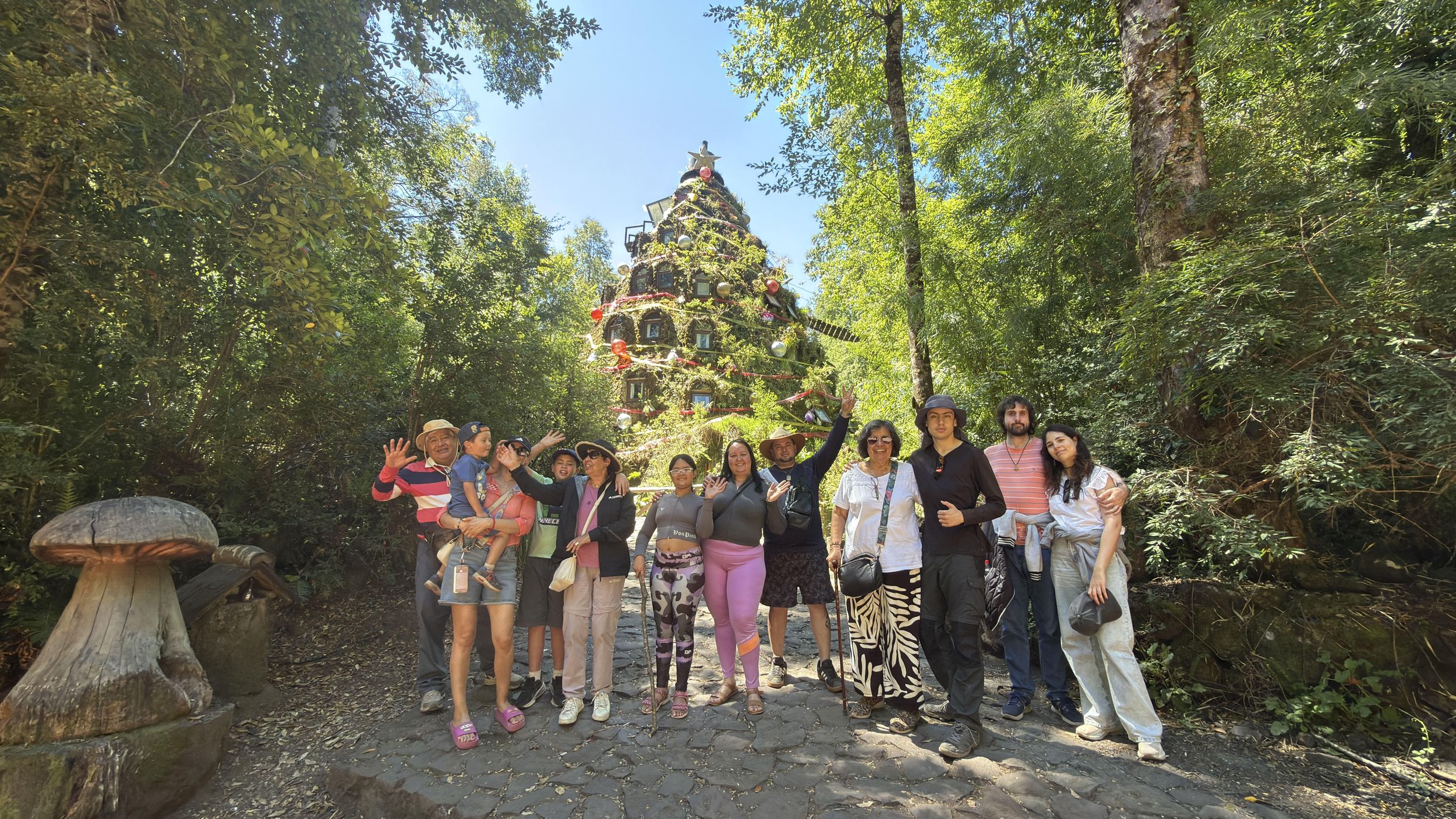Pucón: Tour zum Huilo-Huilo-Bioreservat und zu Wasserfällen