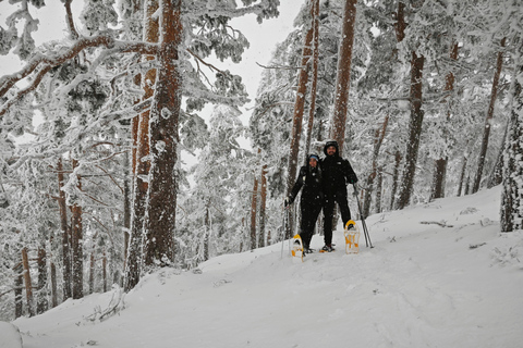 Madrid: Snowshoe tour